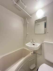 メゾン・ド・ラミール 0104号-8