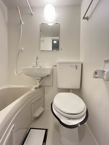 メゾン・ド・ラミール 0104号-9