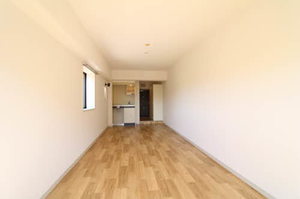 メゾン・ド・ラミール 0306号-3