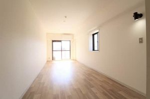 メゾン・ド・ラミール 0306号-5