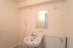 メゾン・ド・ラミール 0306号-7