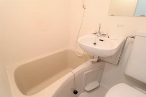 メゾン・ド・ラミール 0306号-8