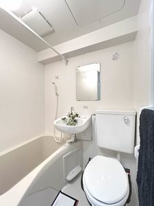 メゾン・ド・ラミール 0306号-9