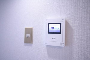 メゾン・ド・ラミール 0306号-10