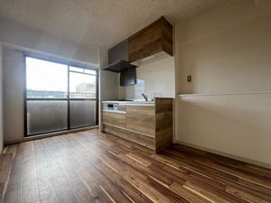 メゾンパストラル 0307号-2