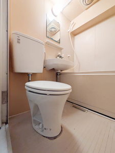 メゾンパストラル 0501号-3