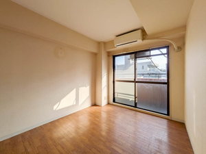 メゾンパストラル 0501号-8