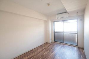 メゾンパストラル 0601号-3