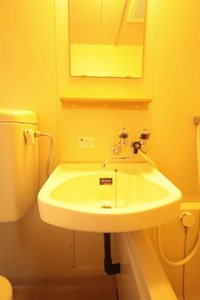 メゾンパストラル 0601号-8