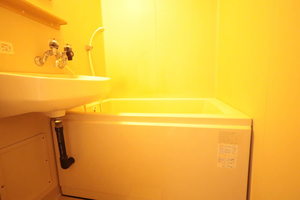 メゾンパストラル 0601号-11