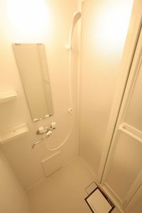 メゾンパストラル 0604号-10