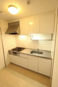 南野ローズヴィラ 0203号-3