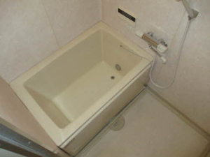 南野ローズヴィラ 0406号-5