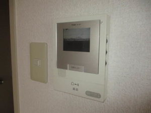 南野ローズヴィラ 0406号-11