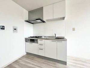 立花セントラルハイツ 0202号-4