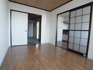 立花セントラルハイツ 0203号-3