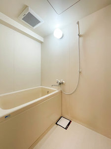 メゾンデール富松 0306号-8