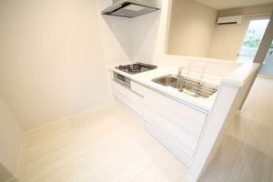 エクセルメゾン仁川A201-3