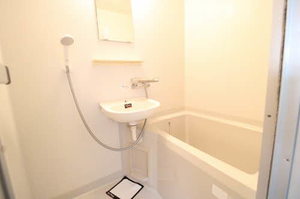 ドミールほづみ 0103号-5