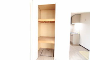 ドミールほづみ 0103号-9