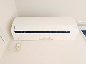 グリーン・ゲイブルズ E000号-11