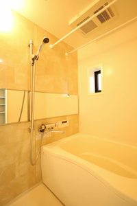 ニューロビンⅠ 0102号-8