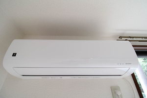 Ｃａｓａ　Ｃａｒｉｎａ 0101号-10