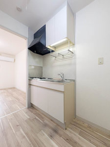 INA.Front 0202号-4