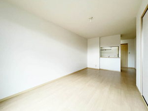 ＳＯＬ．ＬＥＶＡＮＴＥⅥ 0202号-3