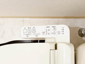 ＳＯＬ．ＬＥＶＡＮＴＥⅥ 0202号-6