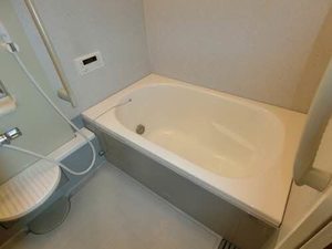 ＳＯＬ．ＬＥＶＡＮＴＥⅦ 0202号-7