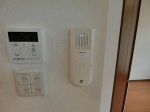 ＳＯＬ．ＬＥＶＡＮＴＥⅦ 0202号-8