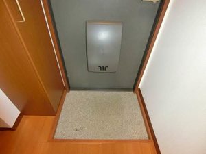 ＳＯＬ．ＬＥＶＡＮＴＥⅦ 0202号-10