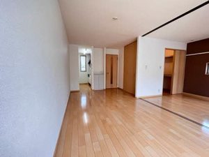 エフネン R フェルト 0101号-2