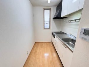 エフネン R フェルト 0101号-3