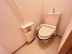 エフネン R フェルト 0101号-5