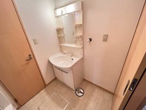 エフネン R フェルト 0101号-6