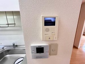 エフネン R フェルト 0101号-10