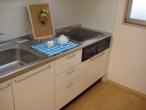 エフネン R フェルト 0201号-2