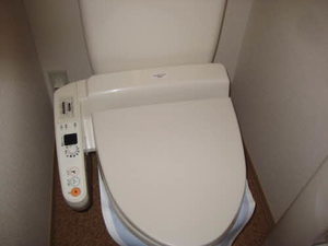 エフネン R フェルト 0201号-6