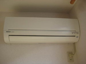 エフネン R フェルト 0201号-10