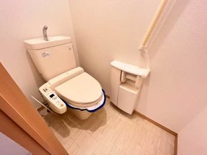 エフネン R フェルト 0203号-5