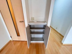 エフネン R フェルト 0203号-12