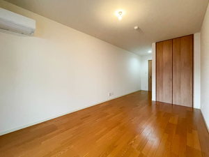 ＳＯＬ．ＬＥＶＡＮＴＥ，Ⅹ 0303号-2