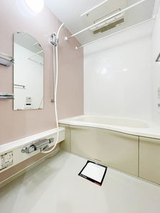 ＳＯＬ．ＬＥＶＡＮＴＥ，Ⅹ 0303号-6