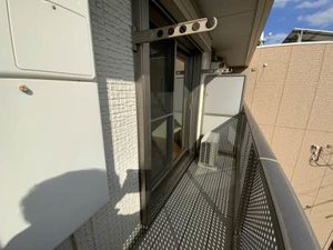 ＳＯＬ．ＬＥＶＡＮＴＥ，Ⅹ 0306号-10