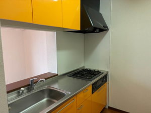 シャ－メゾン川本 0207号-3