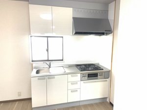ヴァン ヴェールⅢ 0206号-2