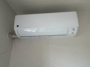 ビアーシュ 0103号-14