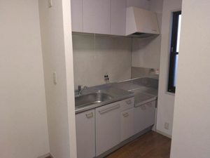 ハオス　フロイデ B101号-5